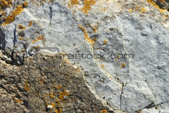 Stone partially covered with lichens