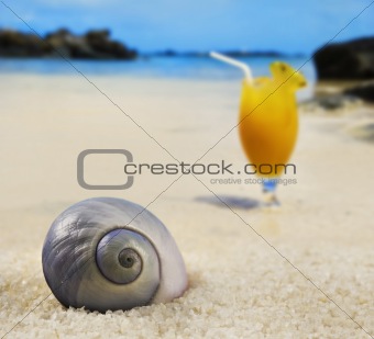 Beautiful sea shell on a tropical island beach with fruit cocktail in background