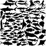 74 Vector Silhouettes of fish