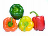 Four pepper on white background