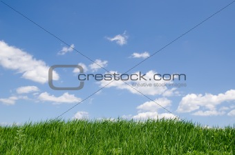 green grass under cloudy sky