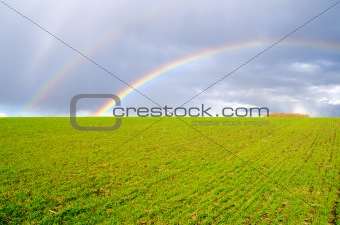 two natural rainbow over green field