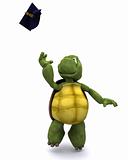 tortoise celebrating graduation