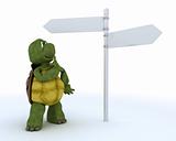 tortoise with sign post