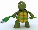 Tortoise with a usb cable