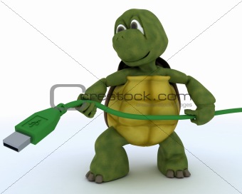 Tortoise with a usb cable