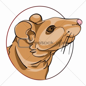 rat sign