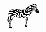 vector zebra silhouette