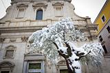 Olive tree covered in snow in front of the church of Santa Maria