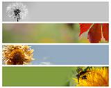 Nature banners for your design