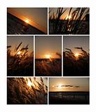 Sunset collection for your design