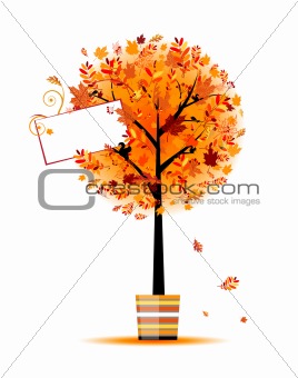 Beautiful autumn tree in pot for your design 