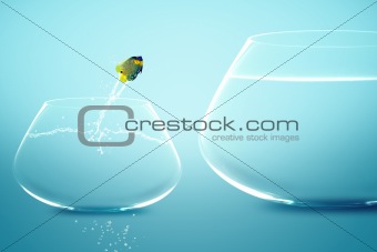 Anglefish jumping to Big bowl