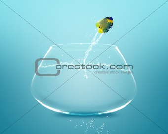 angelfish jumping and doing Acrobatic show