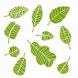 Set of leaf sketch for you design