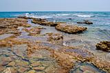 Deserted stony seacoast