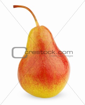 Ripe red-yellow pear fruit