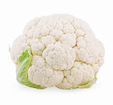 Head of cauliflower cabbage