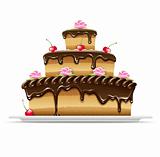 sweet chocolate cake for birthday