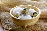 chicken and quail eggs in wooden bowl - a rustic style