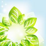 Abstract background with green leaves