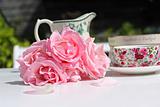 Pink roses and an elegant teacup in the garden 