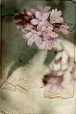 Vintage background with Spring flowers 
