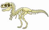 Tyrannosaurus skeleton image