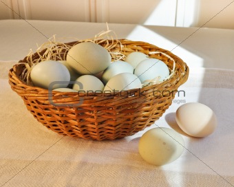 Pastel colored chicken eggs in an Easter basket.