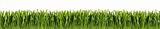 Green grass panorama isolated on white background. 