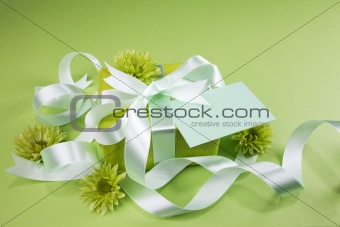 Gift box on green background 