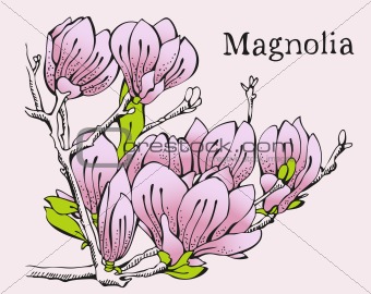 Magnolia pink design card