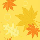 autumn seamless pattern