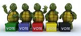 tortoises canvasing for votes in election