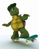 tortoise riding a skateboard