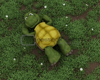 tortoise lying on grass in flowers