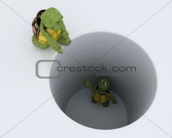 tortoise stuck in a hole metaphor
