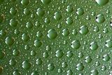 Water drops on green glass surface
