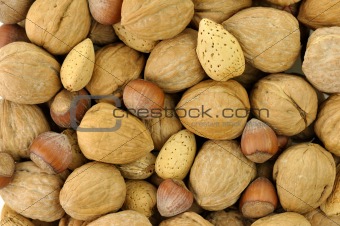 Mixed nuts background 