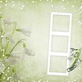 spring background with frame and snowdrops