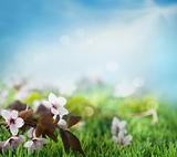 Beautiful floral spring background