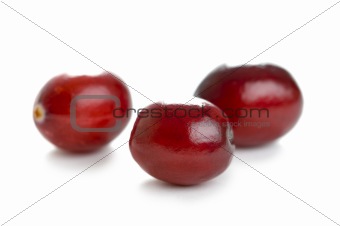 fresh cranberries isolated