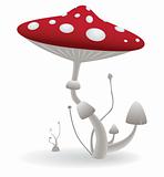 vector mushroom.jpg