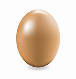 vector illustration of an egg on a white background