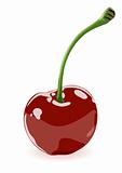 Vector illustration of a cherry.jpg