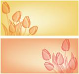 Tulips card background