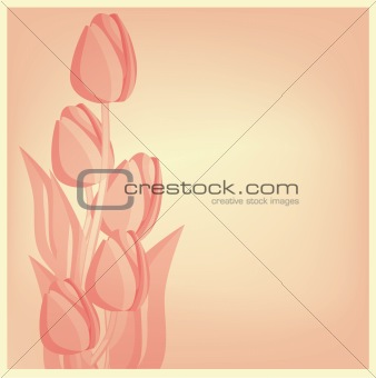 Tulips card background