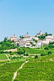 Neive wth vineyards, Piedmont, Italy