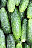 some cucumbers