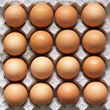 Many brown eggs in carton tray